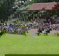 Tumut Derby Day - Stays Accommodation