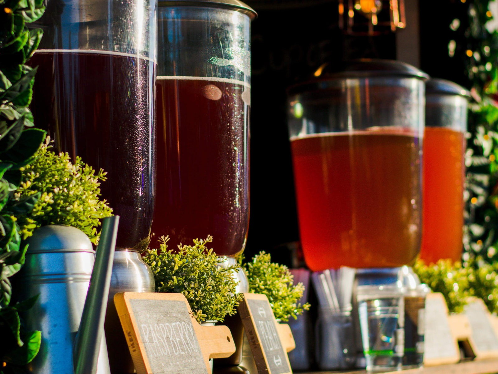 Logan Village QLD Stayed