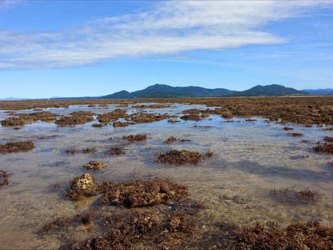 Walk To The Reef - Stayed 0