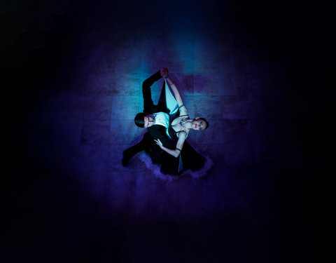 Wallflowering - Stays Accommodation 0