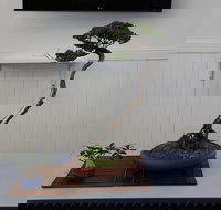 Wauchope Bonsai Workshop Group - Stays Accommodation