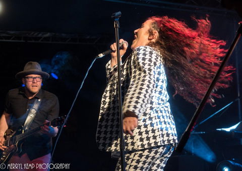 Wingham Akoostik Festival - Stayed 0