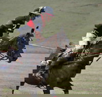 Wirragulla Annual Polo Tournament - Stays Accommodation