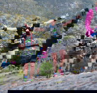 Wonderland Run - Stays Accommodation