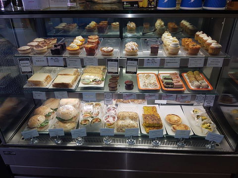 Keeping Healthy Backyard Chickens - Stayed 4