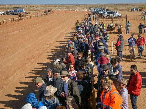 28th Marree Australasian CAMEL CUP 3 July 2021 - Stayed 0