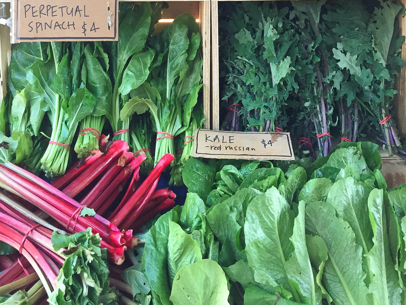 Tangambalanga VIC Stayed