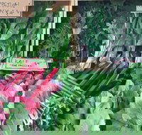 Albury Wodonga Farmers Market - Stayed