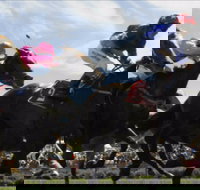 Batemans Bay Cup - Stayed