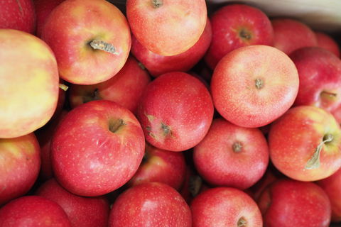 Blayney Farmers' Market - Stayed 1
