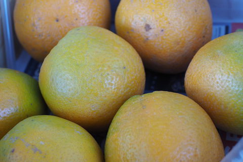 Blayney Farmers' Market - Stayed 2
