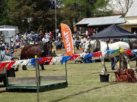 Carcoar Show - Stays Accommodation 0