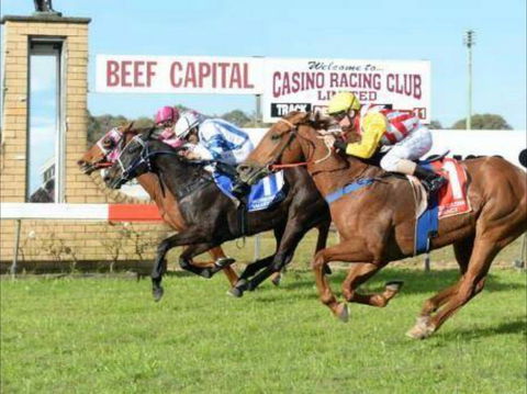 Casino Cup - Stayed 0