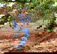 Cellar Dwellers Wine Dinner - Stayed