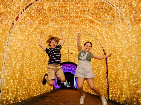 Christmas Lights Spectacular New Year's Eve At Hunter Valley Gardens - Stayed 0