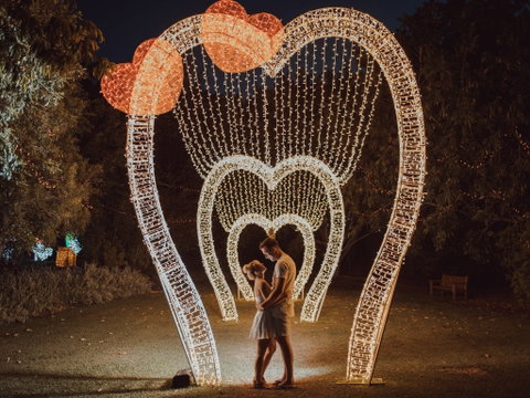 Christmas Lights Spectacular New Year's Eve At Hunter Valley Gardens - Stayed 1