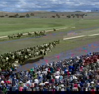 Cooma Sundowners Cup - Stayed