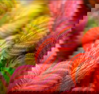 Creative Fibre - Stays Accommodation