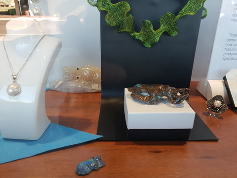 Cuttlefish Art Trail - Cuttlefest 2020 - Stays Accommodation 1