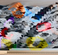 Cuttle-Rock Challenge - CUTTLEFEST 2020 - Whyalla - Stayed