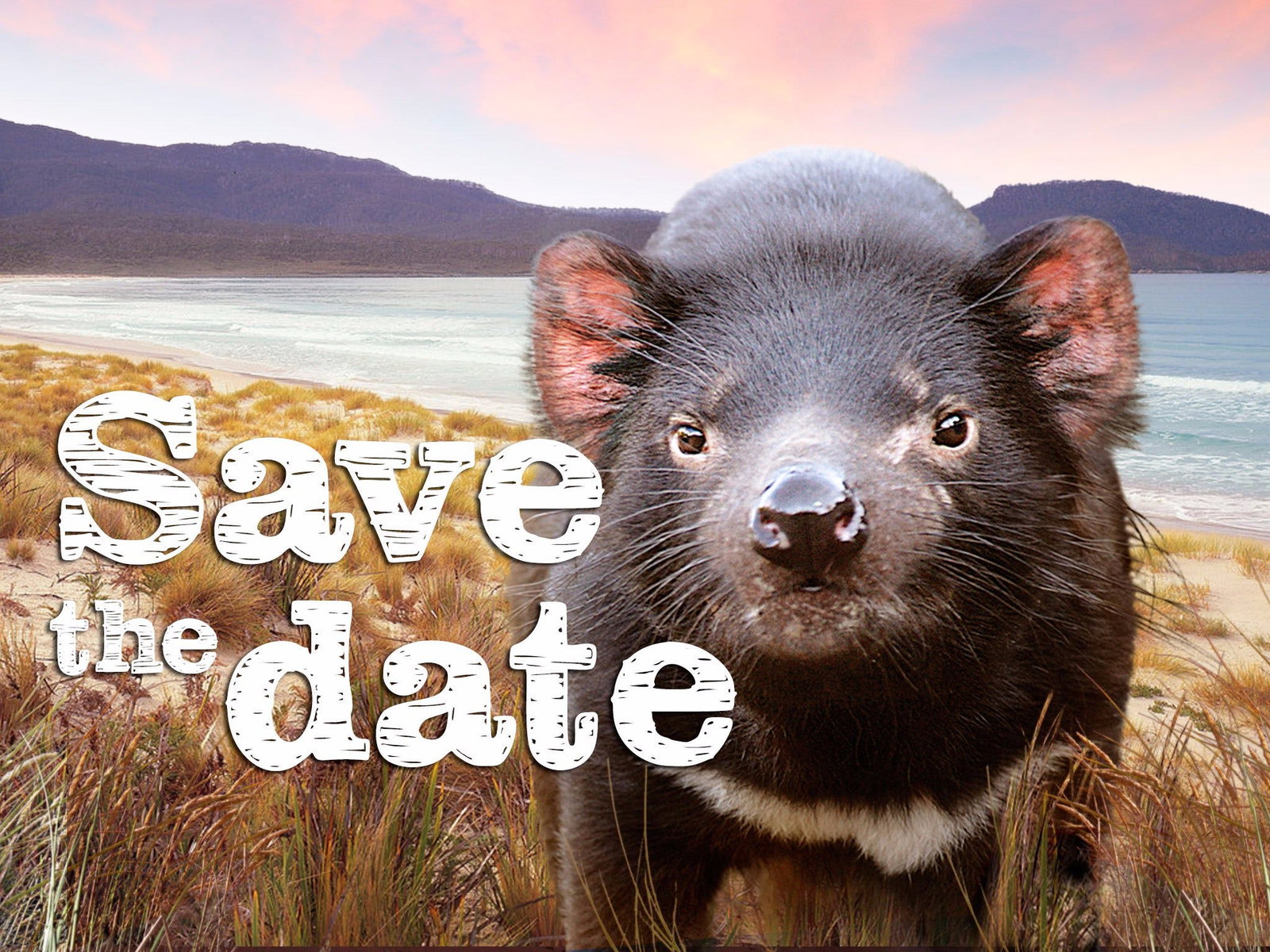 Cygnet TAS Stays Accommodation