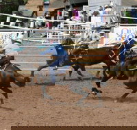 Dalgety Team Penning - Stays Accommodation