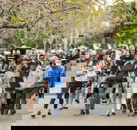 Diabetes Australia Walk to Work Day-Sydney - Stays Accommodation