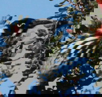 Esperance Wildflower Festival - Stays Accommodation