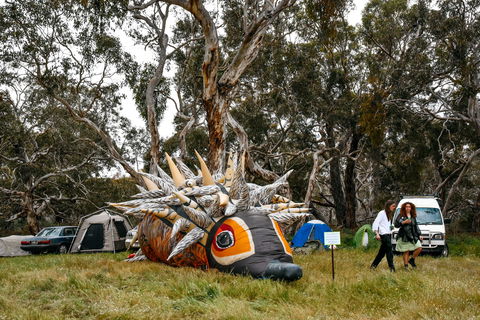 Field Good Festival - Stayed 2