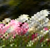 Floriade Reimagined - Stays Accommodation