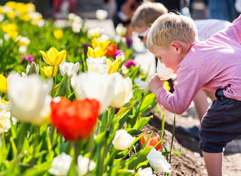 Floriade: Reimagined - Stays Accommodation 1