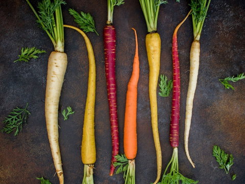 Food For Good Festival - Stays Accommodation 0