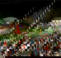 Forest Hill Christmas Festival - Stayed