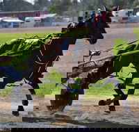 Forbes Show - Stayed