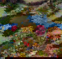 Glenrock Gardens Open Garden - Stays Accommodation