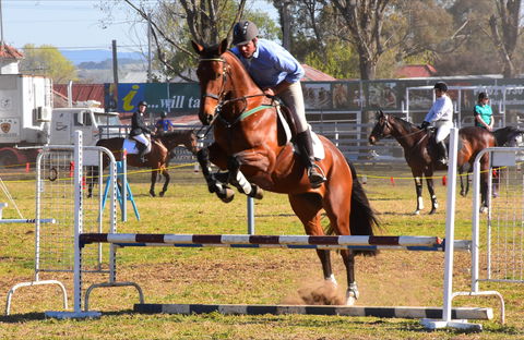 Glen Innes Pastoral And Agricultural Show - Stayed 0