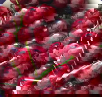 Griffith Rotary Market - Stayed