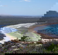 Head to Head Walk Run - Stayed