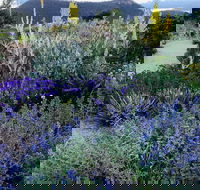 Highfield Gardens - Stayed