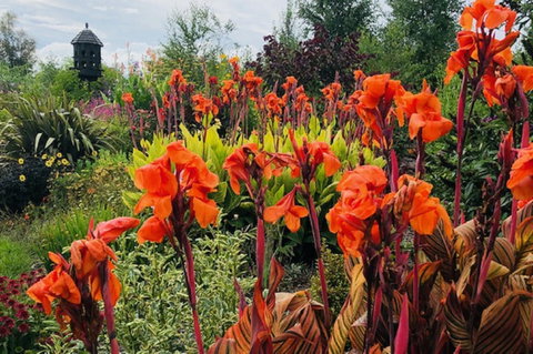 Highfield Gardens - Stayed 1