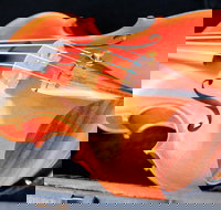 Kendall National Violin Competition Finals Weekend - Stayed