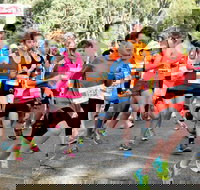 MAAS Group Dubbo Stampede Running Festival - Stays Accommodation