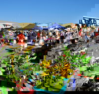 Maclean Macmarket Day - Stayed