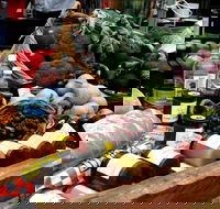 Manjimup Farmers Market - Stayed