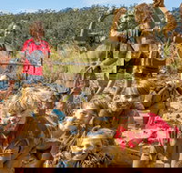 Mini Muddies Obstacle Challenge at Bunnamagoo Estate - Stays Accommodation