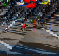 Moruya Town to Surf Fun Run - Stayed