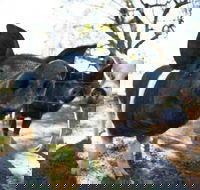 Mudgee Farm Walks - Stays Accommodation