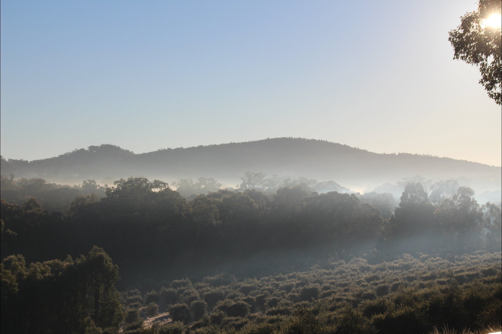 Tambaroora ACT Stays Accommodation