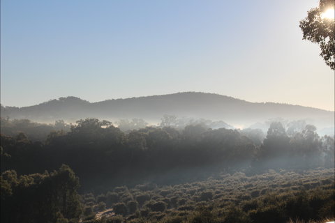 Mudgeeque - Stayed 0