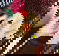 Murrindindi Beanie  Fibre Festival Online - Stayed